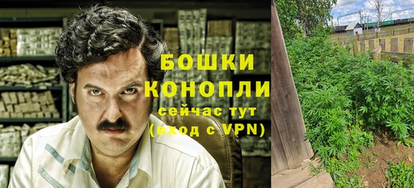 ГАЛЛЮЦИНОГЕННЫЕ ГРИБЫ Аркадак