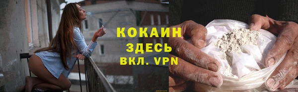 шишки Сосновоборск