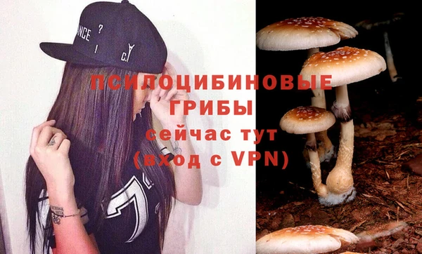 мяу мяу мука Арсеньев