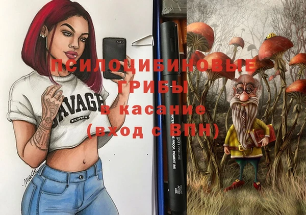 ГАЛЛЮЦИНОГЕННЫЕ ГРИБЫ Аркадак