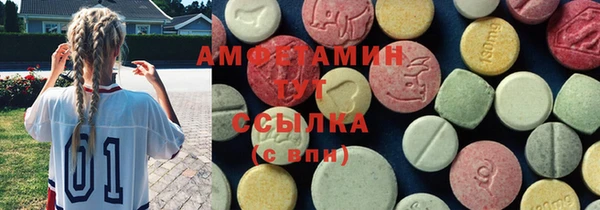 ГАЛЛЮЦИНОГЕННЫЕ ГРИБЫ Аркадак