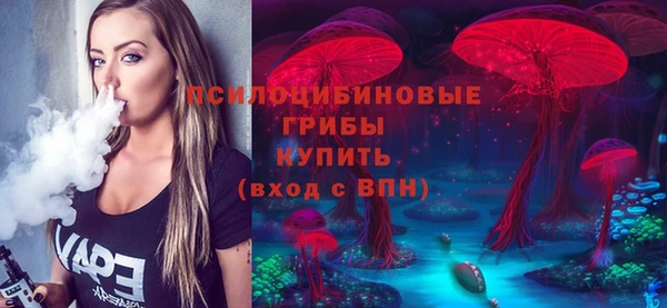 ГАЛЛЮЦИНОГЕННЫЕ ГРИБЫ Аркадак