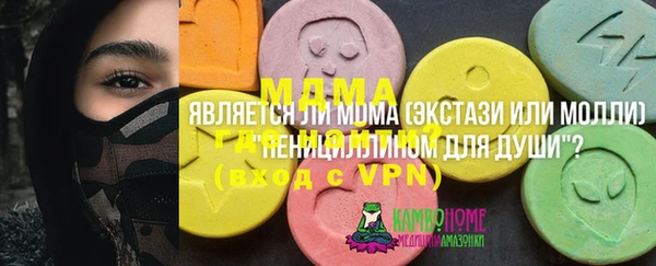 ГАЛЛЮЦИНОГЕННЫЕ ГРИБЫ Аркадак