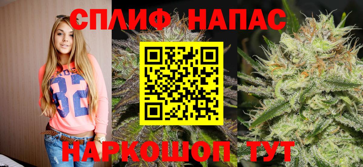 Каннабис сатива Коммунар